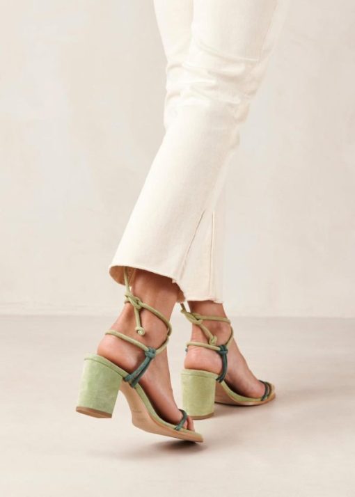 Cvbhaitao.shop952d21710d 1
