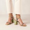 Cvbhaitao.shop952d21710d 2