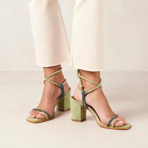 Cvbhaitao.shop952d21710d 2