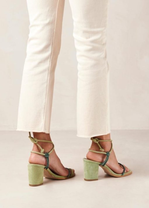 Cvbhaitao.shop952d21710d 4