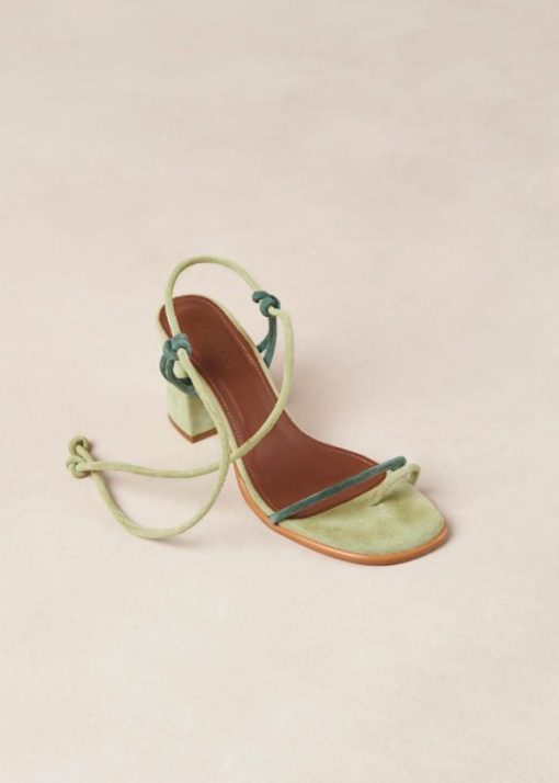 Cvbhaitao.shop952d21710d 6