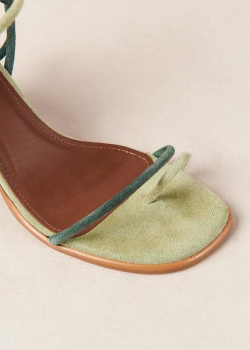 Cvbhaitao.shop952d21710d 7