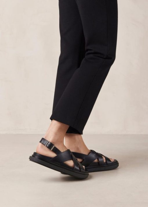 Cvbhaitao.shop970fbe3ca5 3