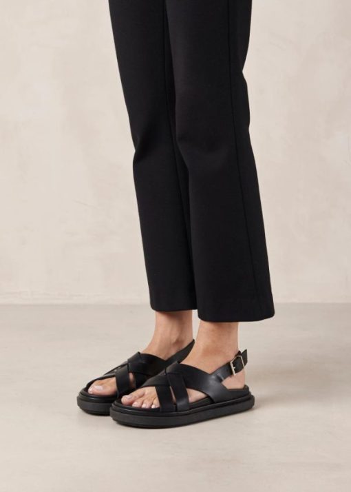 Cvbhaitao.shop970fbe3ca5 4