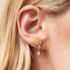 Cvbhaitao.shopbf330512da 2