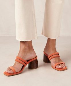Cvbhaitao.shopc5b6047775 1