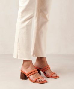 Cvbhaitao.shopc5b6047775 2
