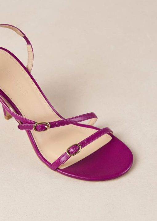 Cvbhaitao.shopcf5534969b 7