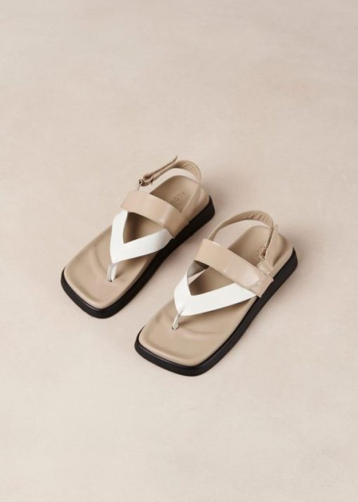 Cvbhaitao.shopcfa0066251 6