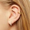Cvbhaitao.shopeb5997c353 3