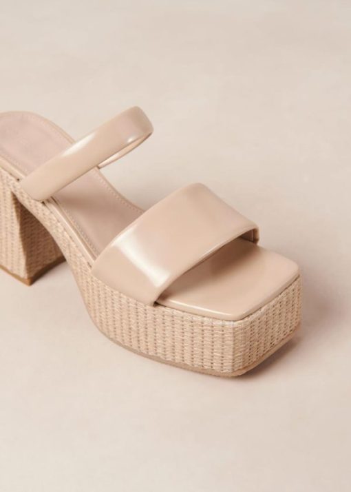 Cvbhaitao.shopf263dd92a5 6